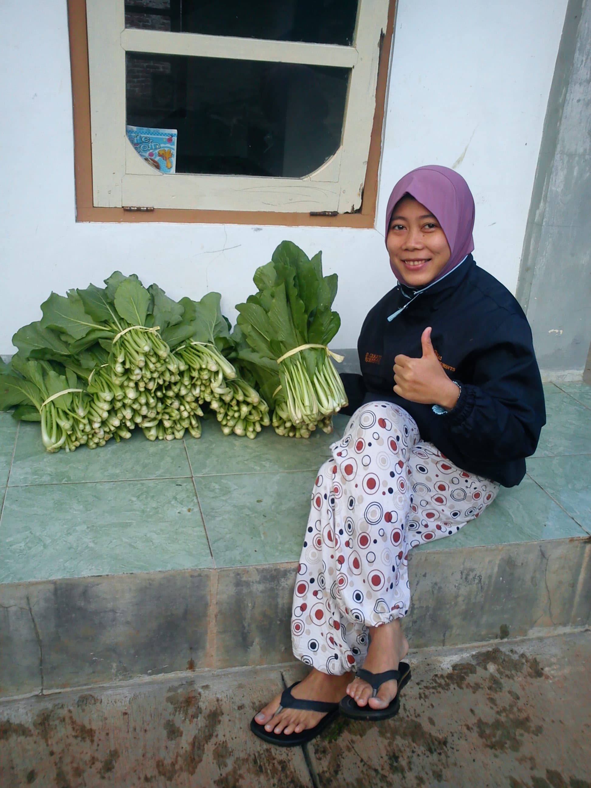 Hasil pemanenan cesim