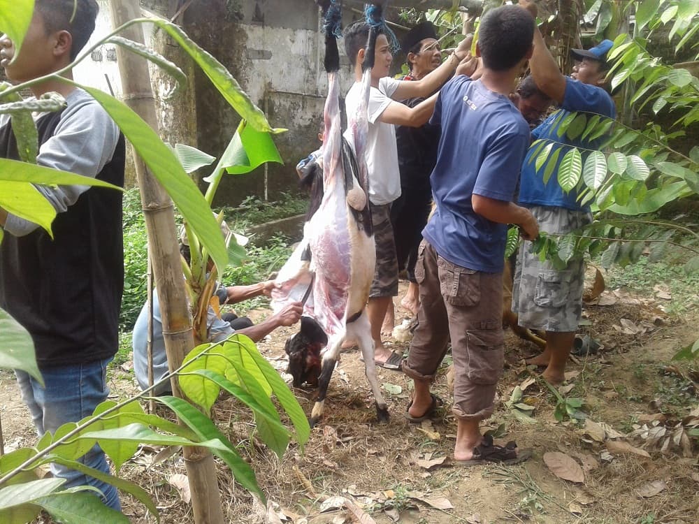 Hari Raya Idul Adha