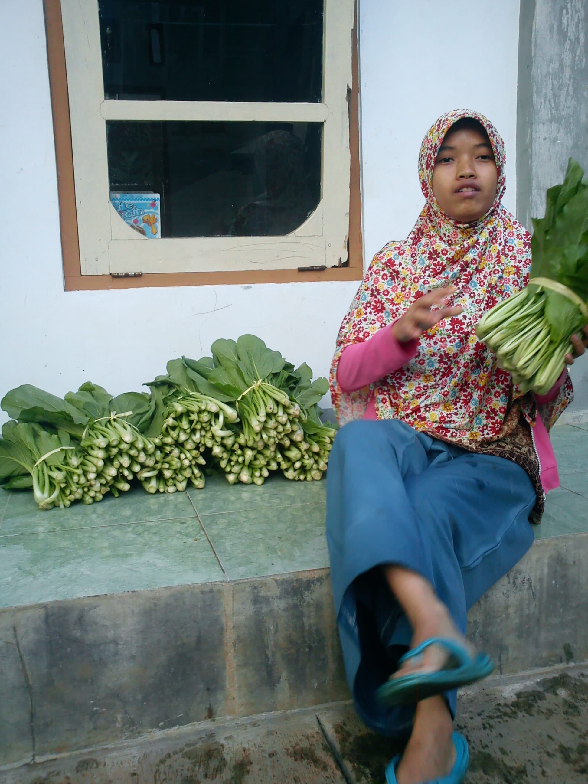 Cesim siap jual